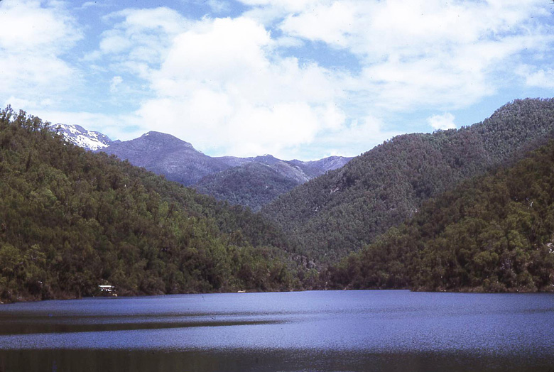laguna Amargo